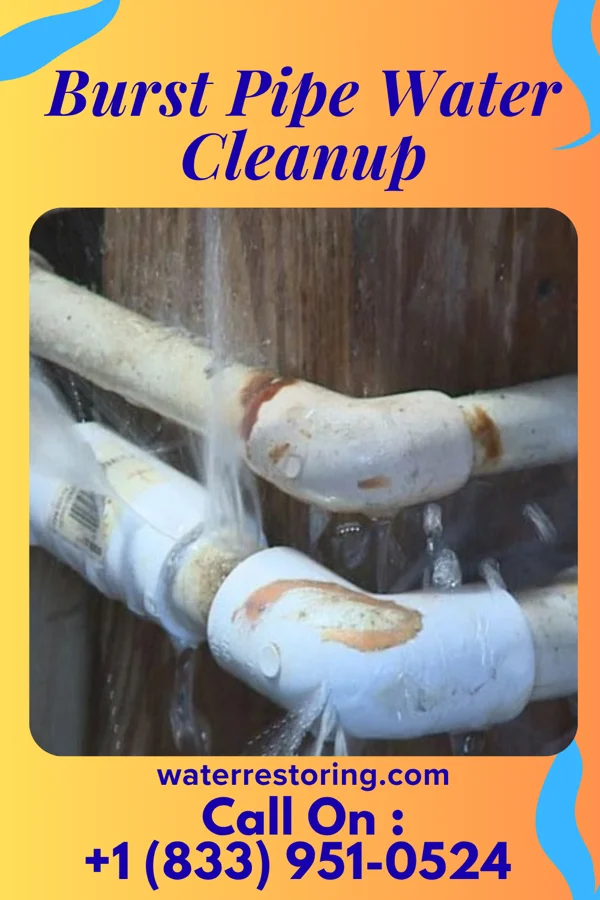 Burst Pipe Water Cleanup in Leetsdale, PA