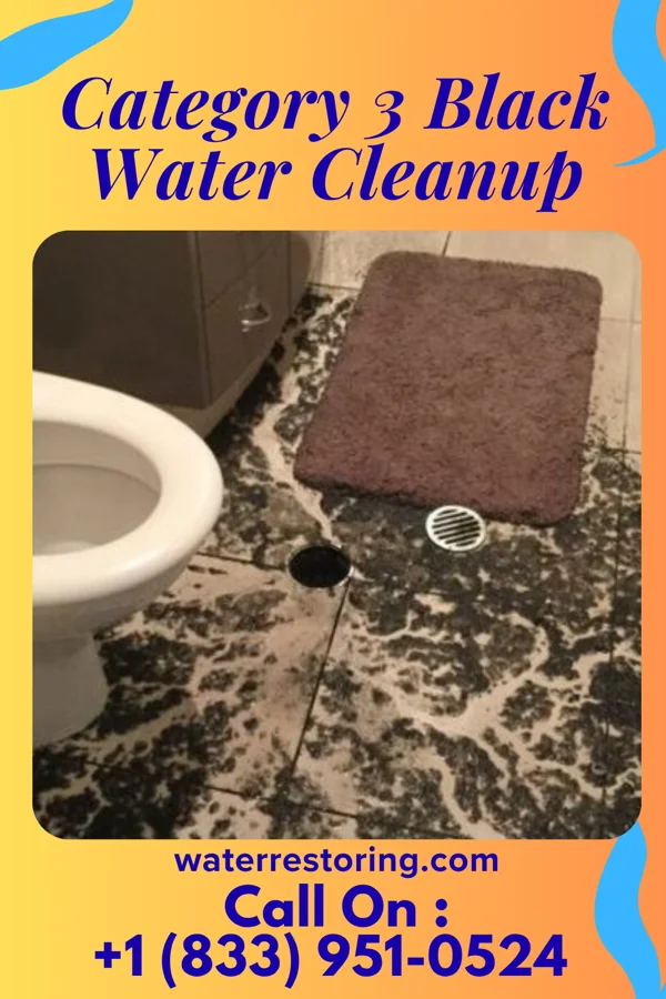 Category 3 Black Water Cleanup in Leetsdale, PA