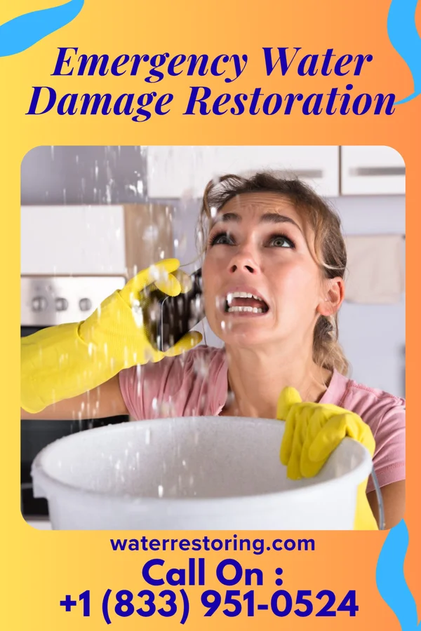 Emergency Water Damage Restoration in Leetsdale, PA
