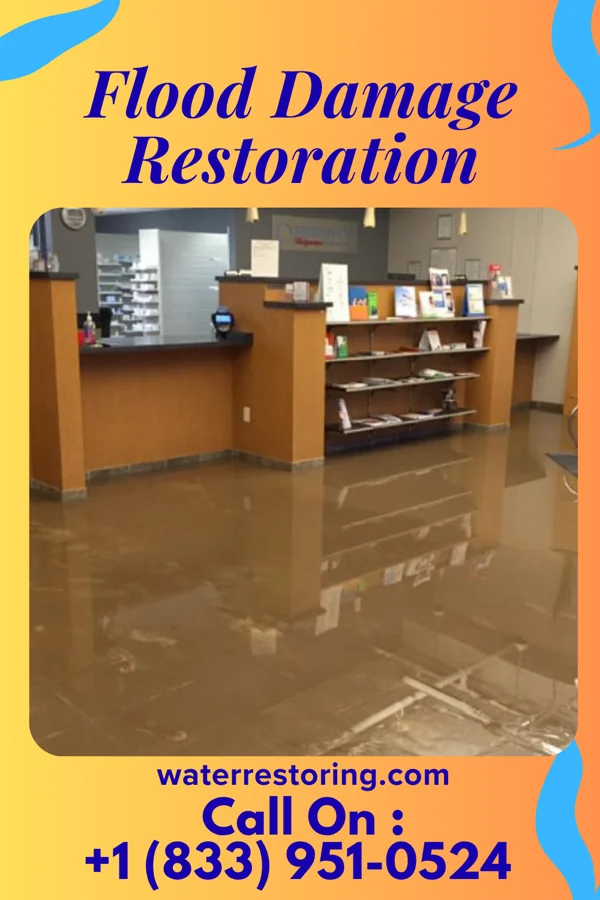 Flood Damage Restoration in Leetsdale, PA