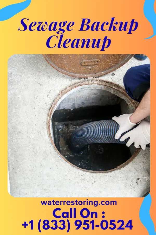 Sewage Backup Cleanup in Leetsdale, PA