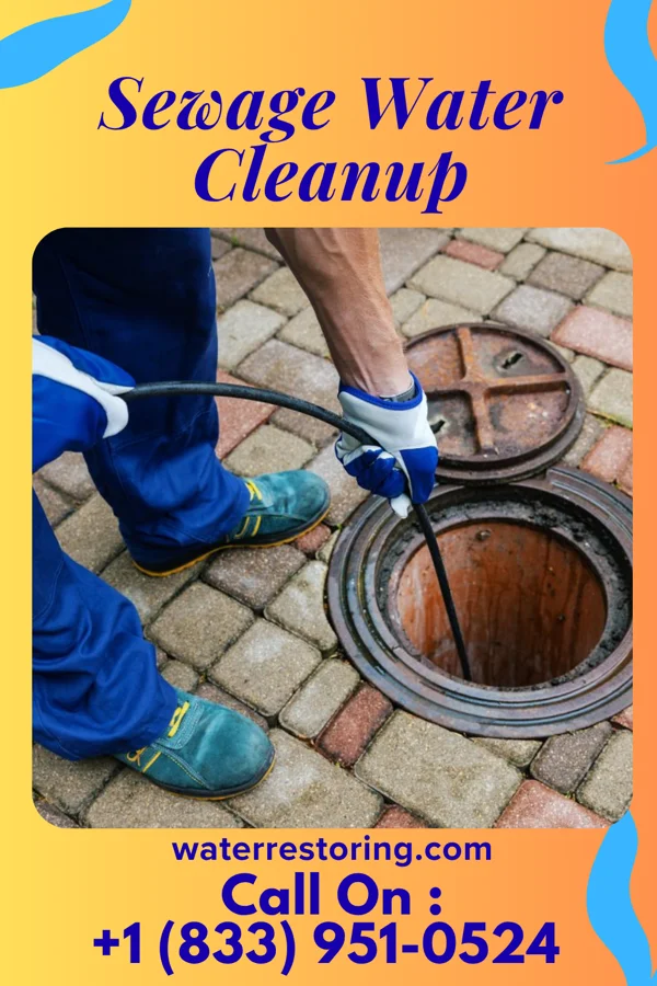 Sewage Water Cleanup in Leetsdale, PA