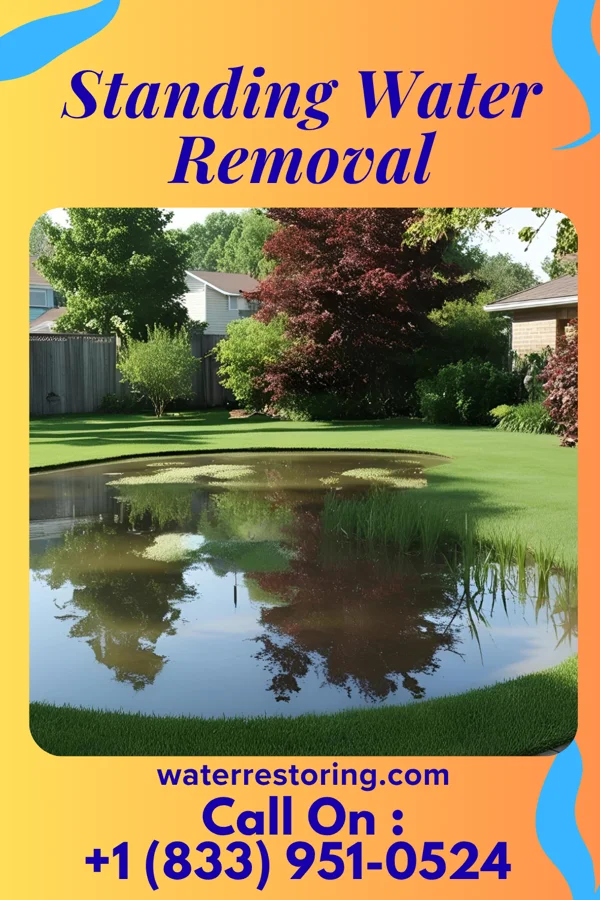 Standing Water Removal in Leetsdale, PA